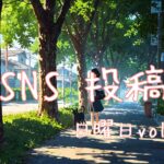 日曜日アイキャッチ